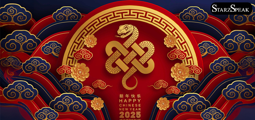 Chinese new year 2025